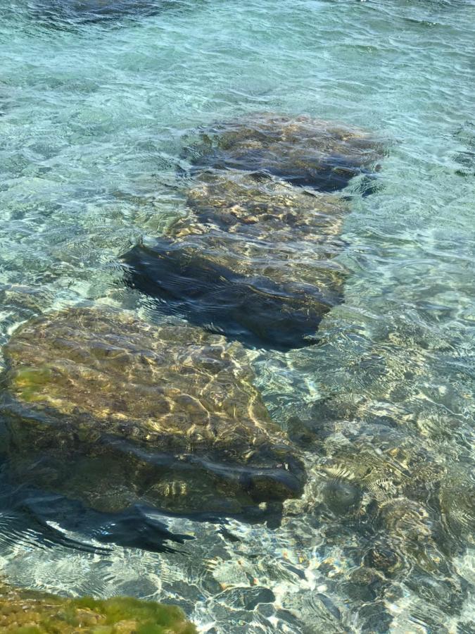 Golfe De Saint Tropez Terrasses De Sylvabelle Gigaro Daire La Croix-Valmer Dış mekan fotoğraf