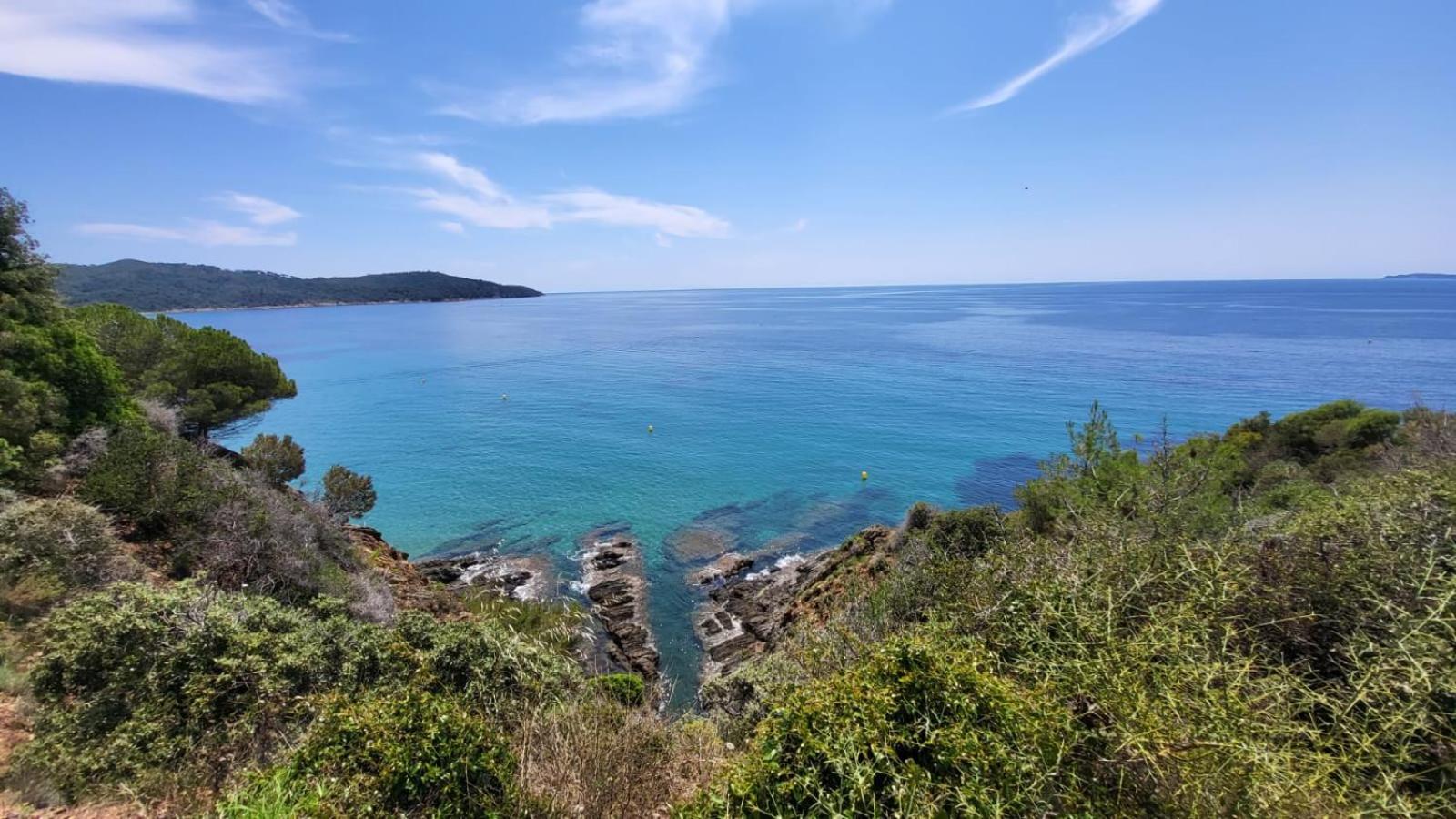 Golfe De Saint Tropez Terrasses De Sylvabelle Gigaro Daire La Croix-Valmer Dış mekan fotoğraf