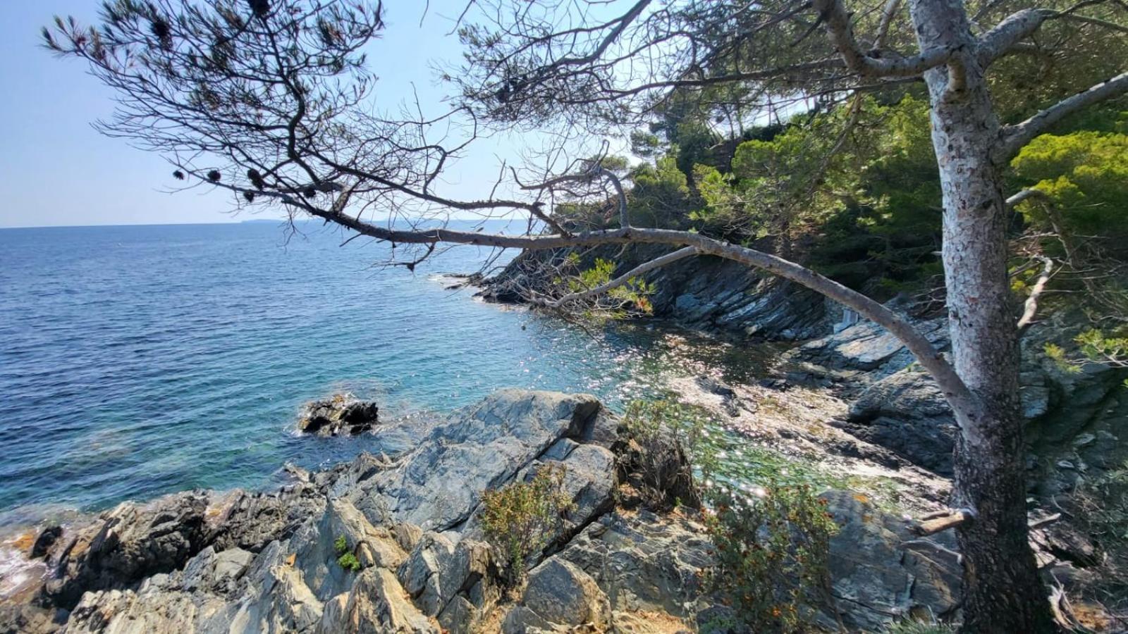 Golfe De Saint Tropez Terrasses De Sylvabelle Gigaro Daire La Croix-Valmer Dış mekan fotoğraf